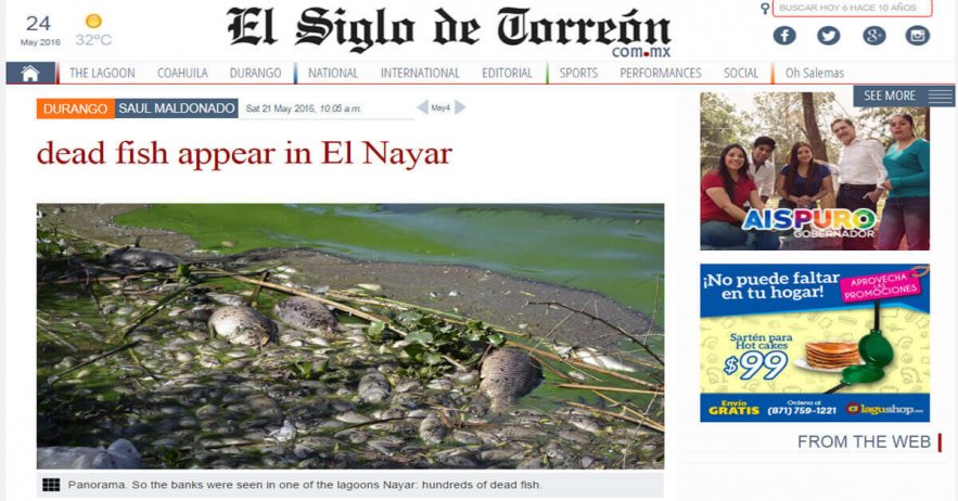 Dead-fish-appear-in-El-Nayar