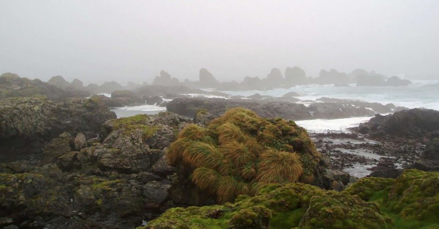 macquarie-island-researchers-get-shake-up-call-from-undersea-earthquake Macquarie Island researchers get shake-up call from undersea earthquake