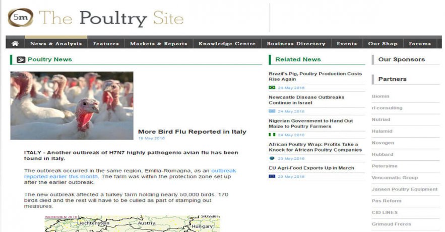 More-Bird-Flue-Reported-in-Italy