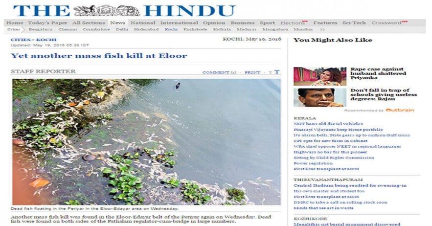 Yet-another-mass-fish-kill-at-Eloor