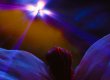 Preparedness - Sermon by Priest Greg Brady - Aug 17th, 2017